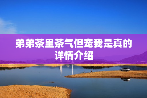 弟弟茶里茶气但宠我是真的详情介绍