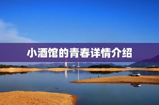 小酒馆的青春详情介绍
