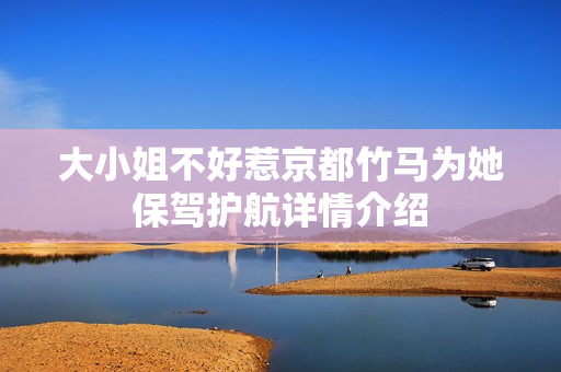 大小姐不好惹京都竹马为她保驾护航详情介绍