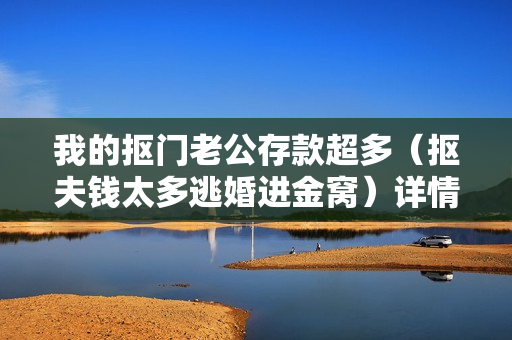 我的抠门老公存款超多（抠夫钱太多逃婚进金窝）详情介绍