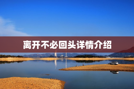 离开不必回头详情介绍