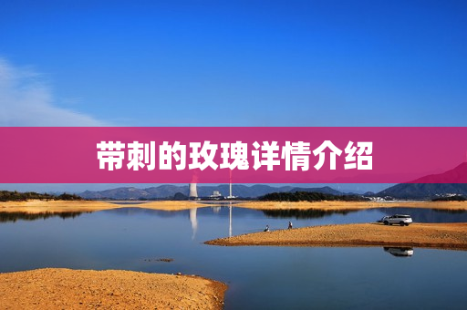 带刺的玫瑰详情介绍
