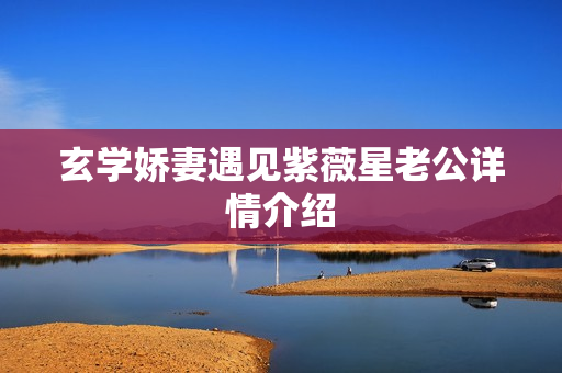 玄学娇妻遇见紫薇星老公详情介绍