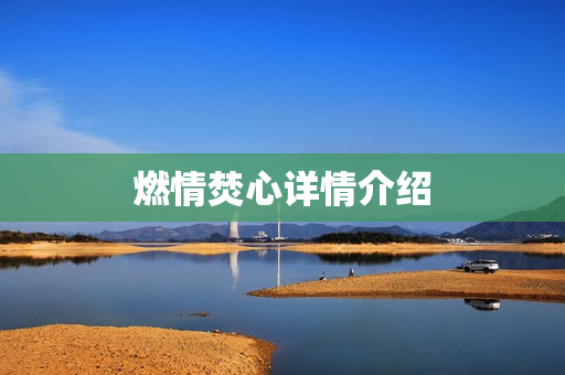 燃情焚心详情介绍