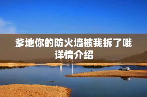 爹地你的防火墙被我拆了哦详情介绍