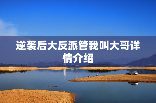 逆袭后大反派管我叫大哥详情介绍