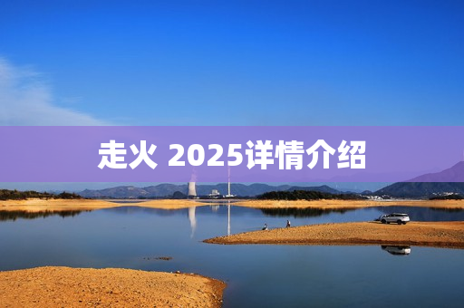 走火 2025详情介绍