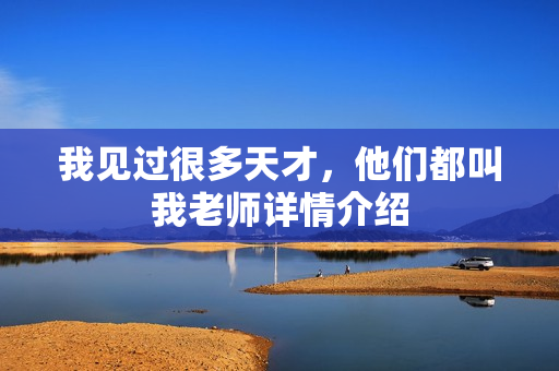 我见过很多天才，他们都叫我老师详情介绍