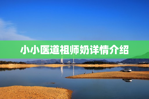 小小医道祖师奶详情介绍