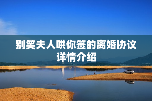 别笑夫人哄你签的离婚协议详情介绍