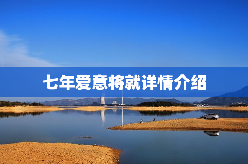 七年爱意将就详情介绍