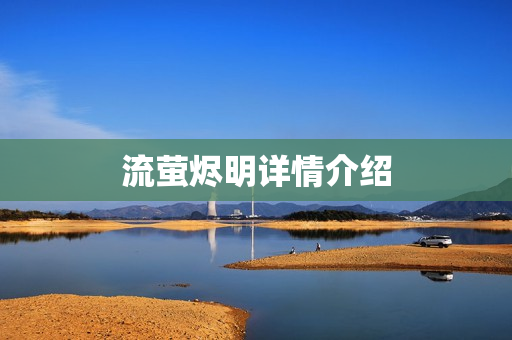 流萤烬明详情介绍