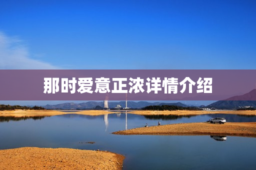那时爱意正浓详情介绍