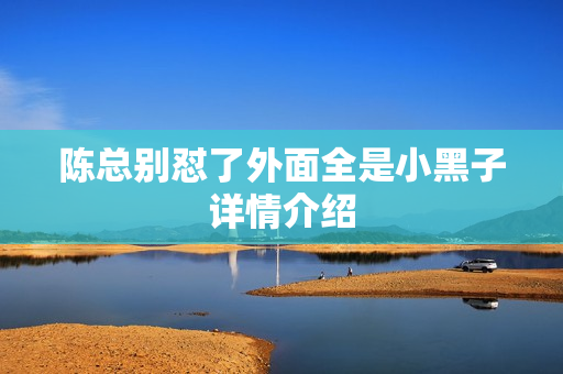 陈总别怼了外面全是小黑子详情介绍