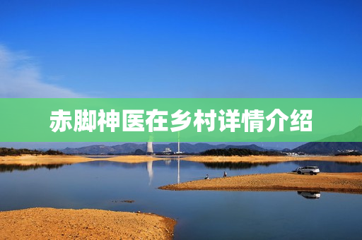 赤脚神医在乡村详情介绍