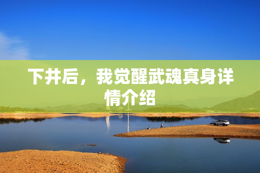 下井后，我觉醒武魂真身详情介绍