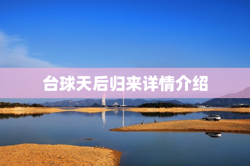 台球天后归来详情介绍