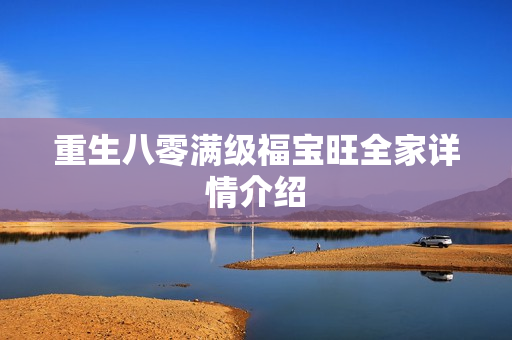 重生八零满级福宝旺全家详情介绍