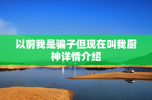 以前我是骗子但现在叫我厨神详情介绍
