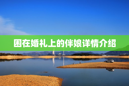 困在婚礼上的伴娘详情介绍