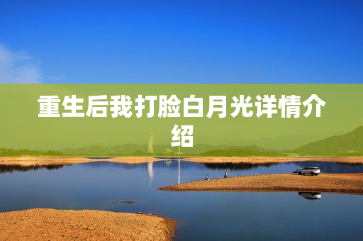 重生后我打脸白月光详情介绍
