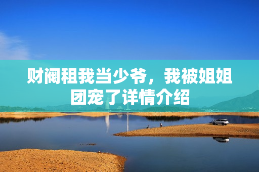 财阀租我当少爷，我被姐姐团宠了详情介绍
