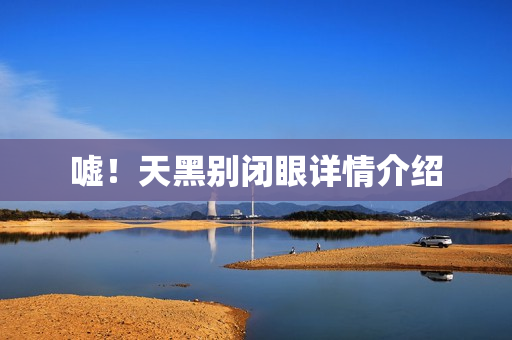 嘘！天黑别闭眼详情介绍
