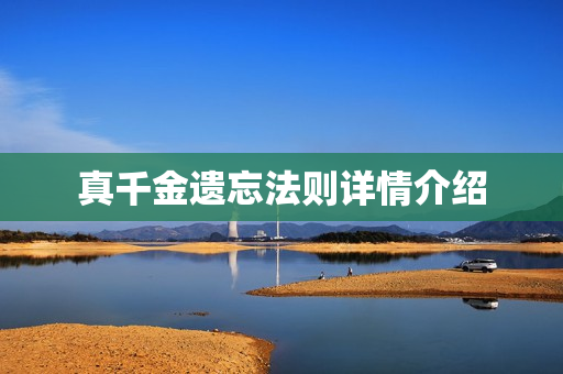 真千金遗忘法则详情介绍