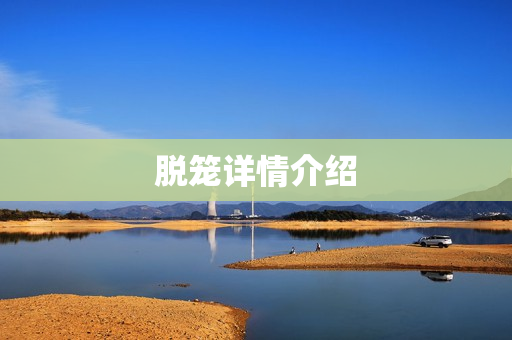 脱笼详情介绍