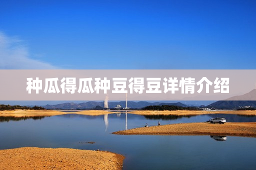 种瓜得瓜种豆得豆详情介绍