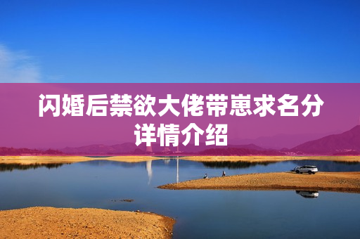 闪婚后禁欲大佬带崽求名分详情介绍