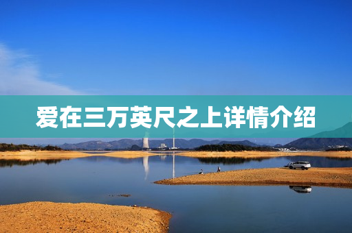 爱在三万英尺之上详情介绍