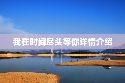 我在时间尽头等你详情介绍