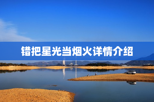 错把星光当烟火详情介绍