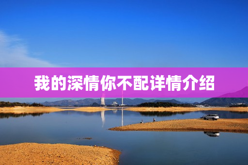 我的深情你不配详情介绍