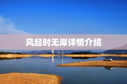 风起时无岸详情介绍