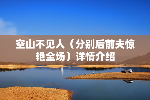 空山不见人（分别后前夫惊艳全场）详情介绍