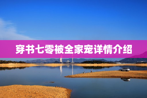 穿书七零被全家宠详情介绍