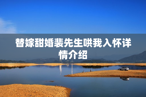 替嫁甜婚裴先生哄我入怀详情介绍
