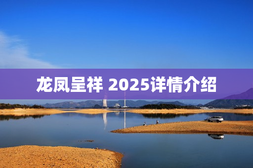 龙凤呈祥 2025详情介绍