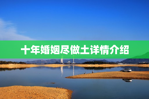 十年婚姻尽做土详情介绍