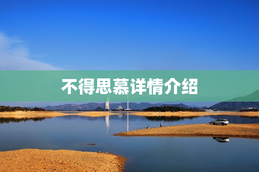 不得思慕详情介绍
