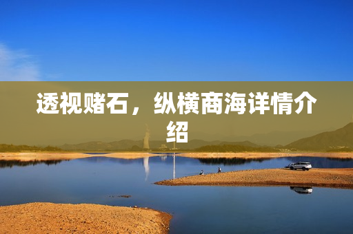 透视赌石，纵横商海详情介绍