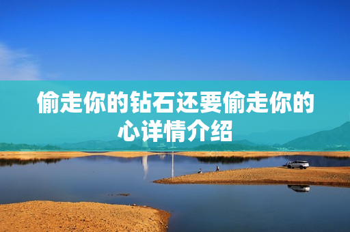 偷走你的钻石还要偷走你的心详情介绍