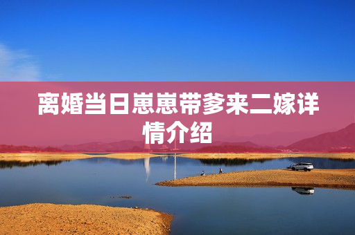 离婚当日崽崽带爹来二嫁详情介绍