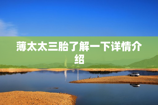 薄太太三胎了解一下详情介绍