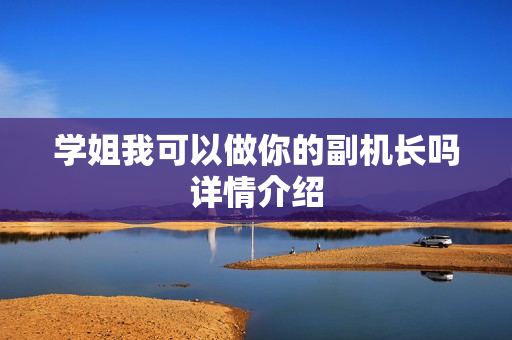 学姐我可以做你的副机长吗详情介绍