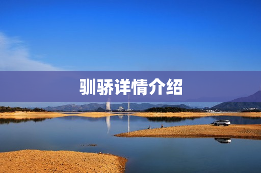 驯骄详情介绍