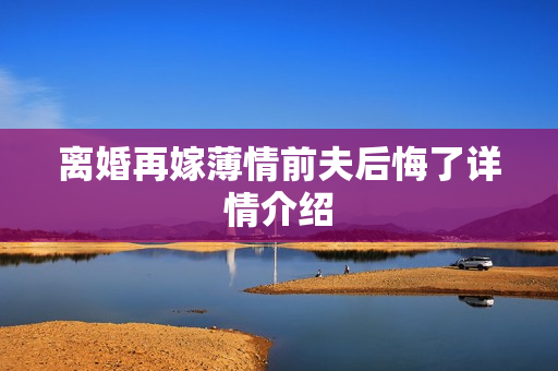 离婚再嫁薄情前夫后悔了详情介绍