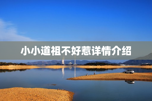 小小道祖不好惹详情介绍